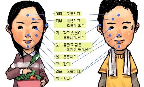 동안.jpg