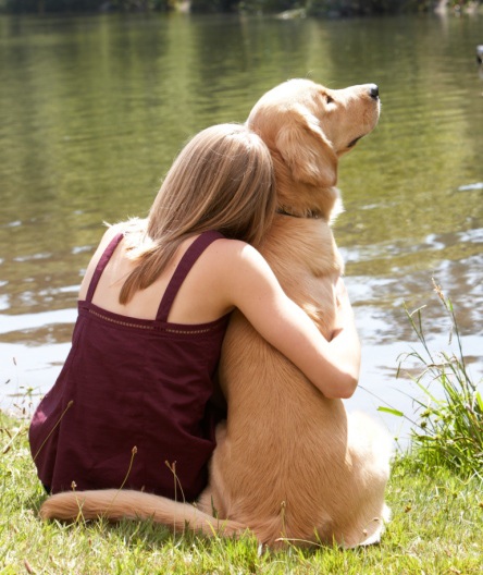 hug-golden-MarcyMaloy-Getty-CROP.jpg