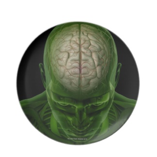 brain_arteries_dinner_plate-r19d5f7bf8ad74e8780734bf93bf55f44_ambb0_8byvr_324.jpg