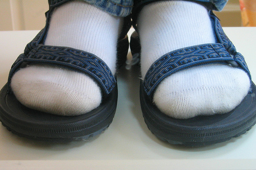 summer04.jpg
