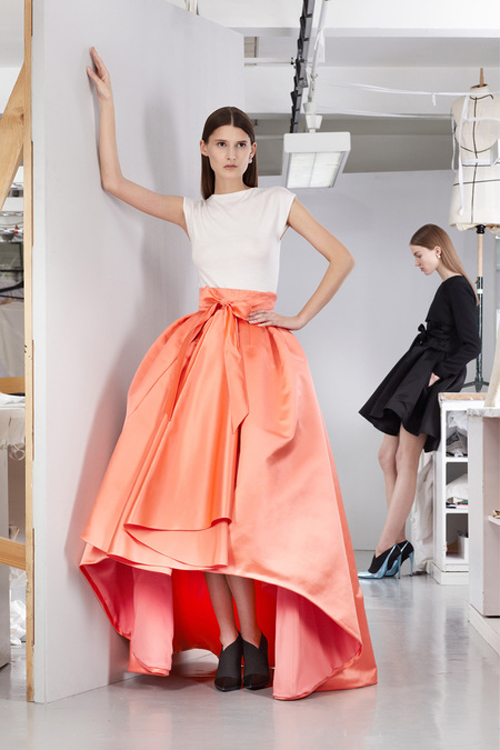 Christian-Dior-Pre-Fall-2013.jpg