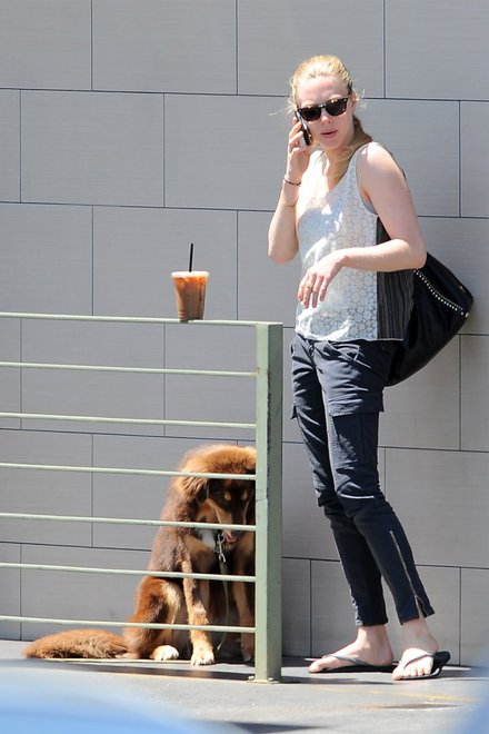 amanda-seyfried-j-brand-houlihan-cargo-pants-sharkskin-jt-thumb-440x660-39068_etrodnjsrb.jpg