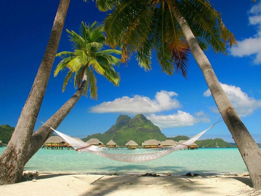 tropical-getaway-coconut-trees.jpg
