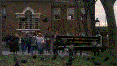 7.gif