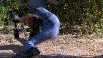 11.gif