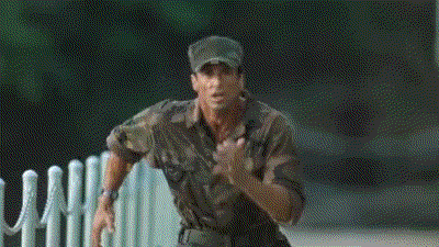17.gif