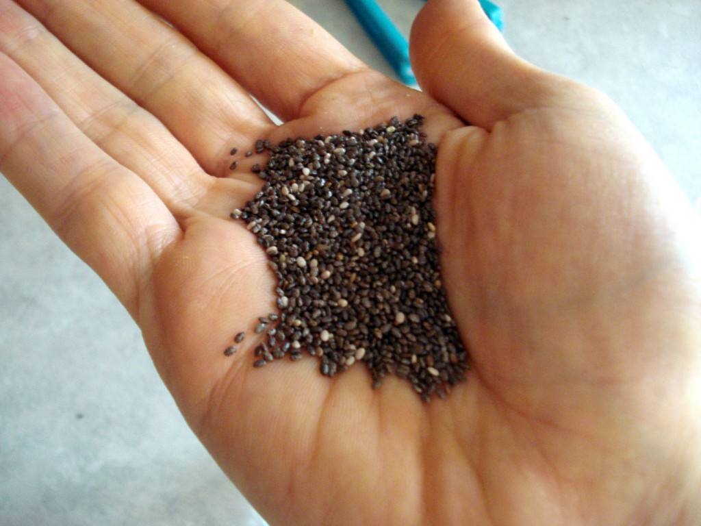 chia-seeds-photo-1024x768.jpg