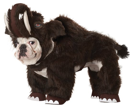 Wooly-Woof.jpg
