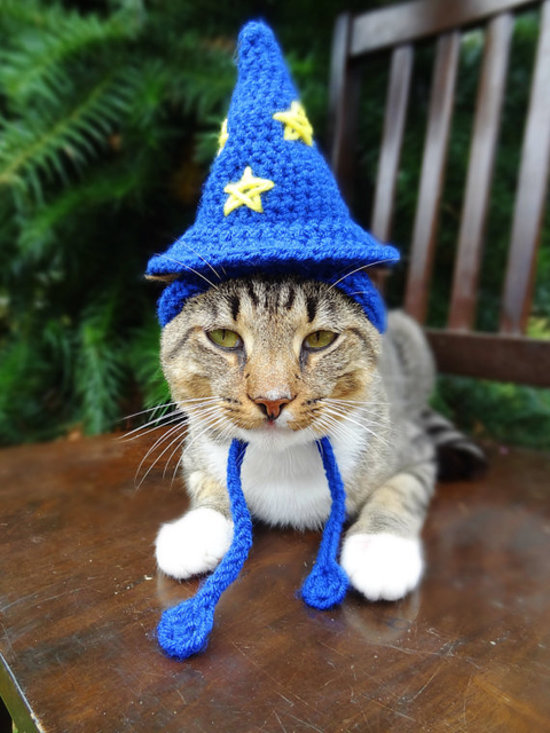 Abra-cat-dabra.jpg