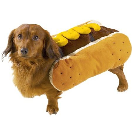 Ketchup-Mustard.jpg