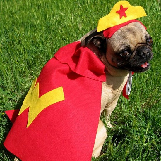 Wonder-Pup.jpg