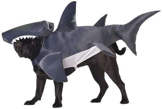 Shark-Pup.jpg