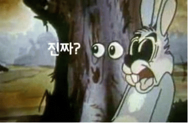 진짜.gif