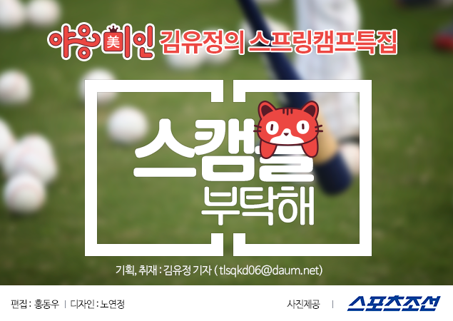 daum635x450.png