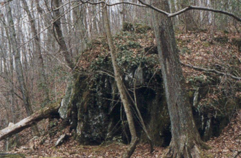 17.JPG