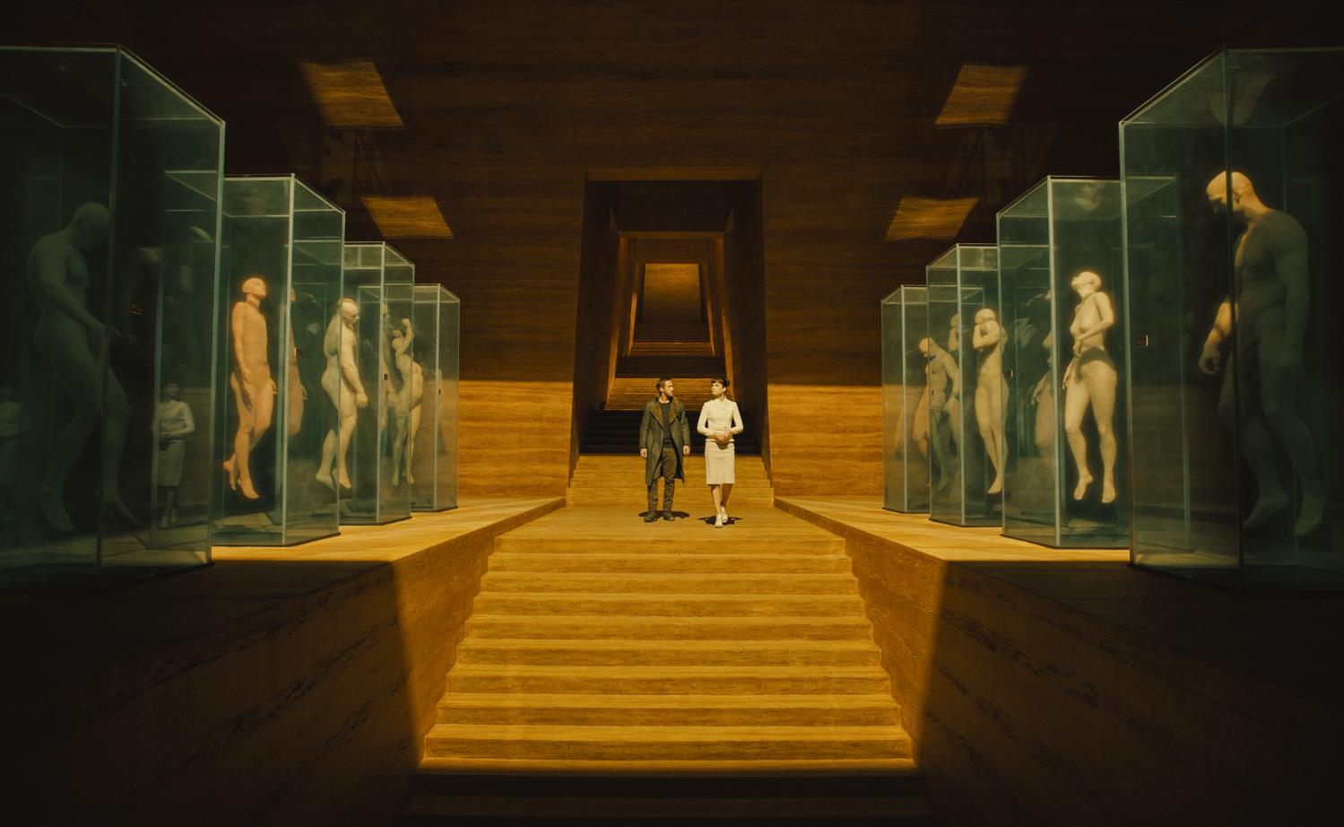 10.JPG
