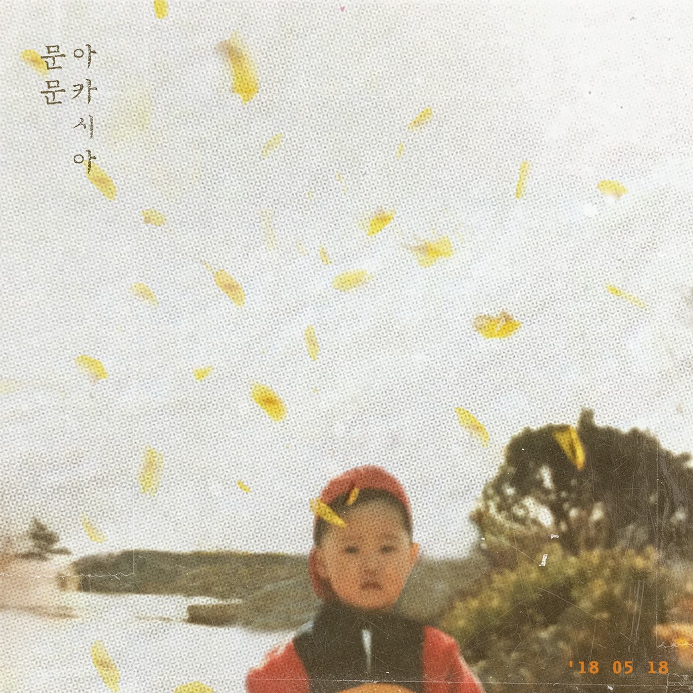 (문문)아카시아_커밍순.jpg