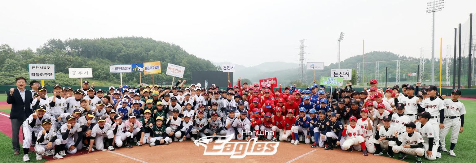 한화이글스.JPG