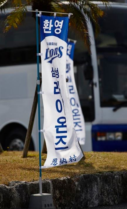 삼성라이온즈.JPG