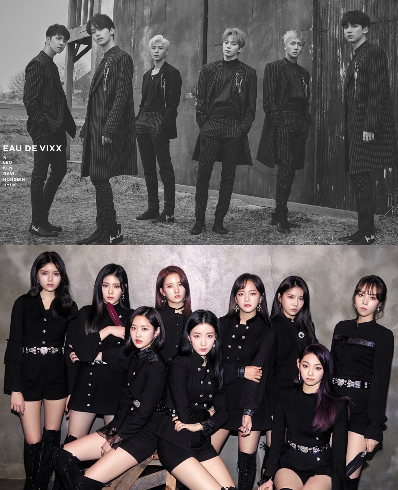 목_젤리피쉬 신인 그룹.jpg