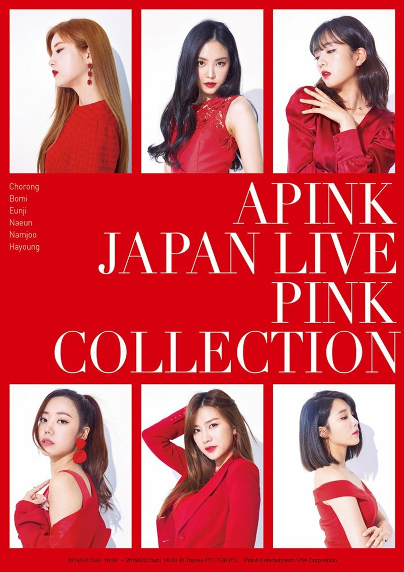 에이핑크_일본_콘서트_포스터.jpg