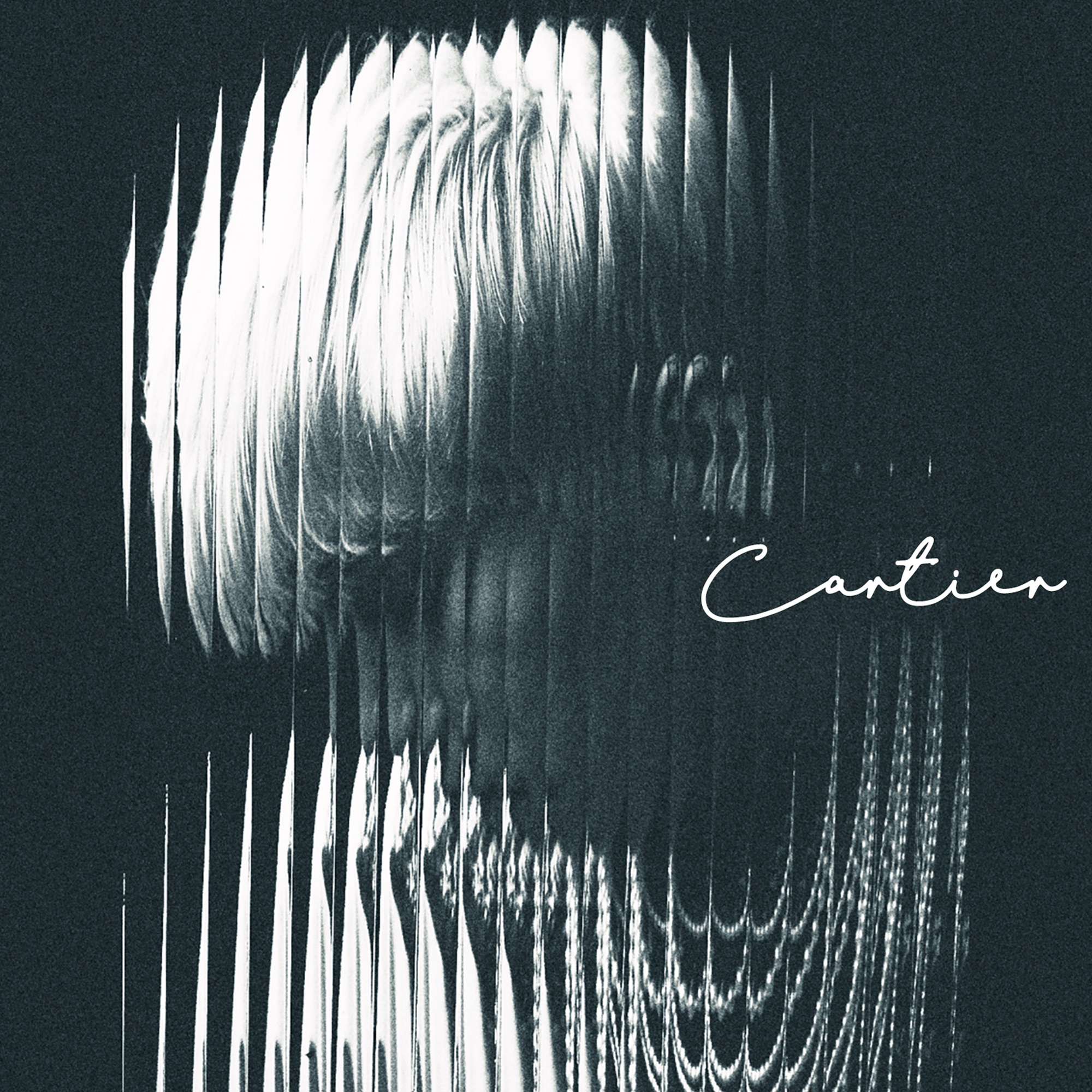 cover_cartier.jpg