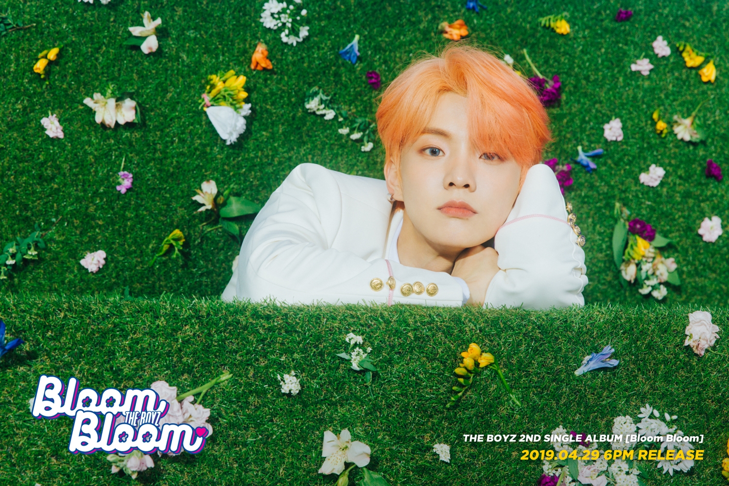 더보이즈_ Bloom Bloom 큐.jpg