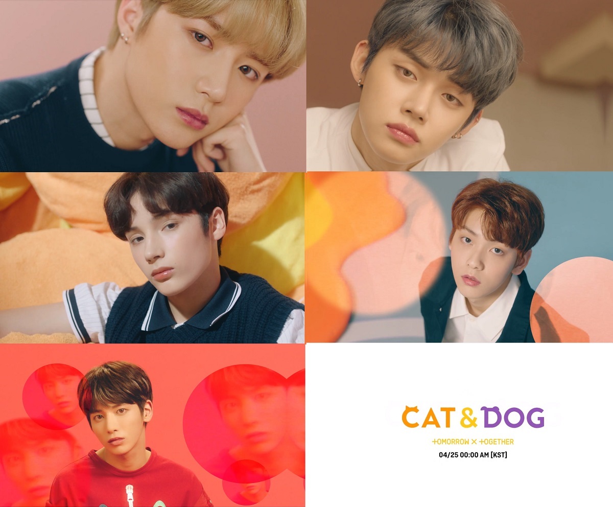 투모로우바이투게더_Cat & Dog MV_두 번째 티저(2).jpg