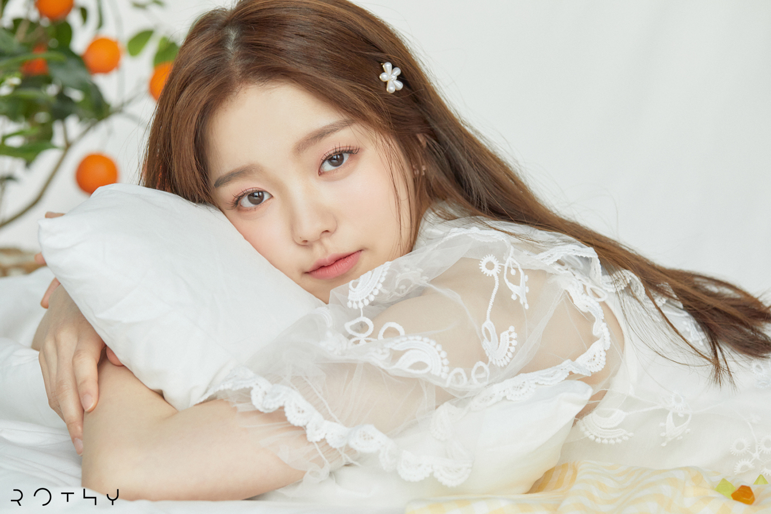 로시_메인.jpg