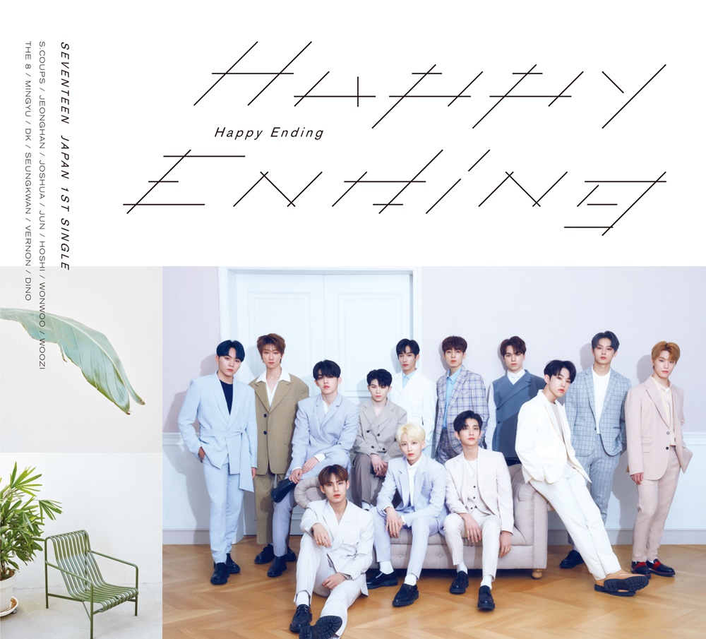 190613_세븐틴 Size1000.JPG