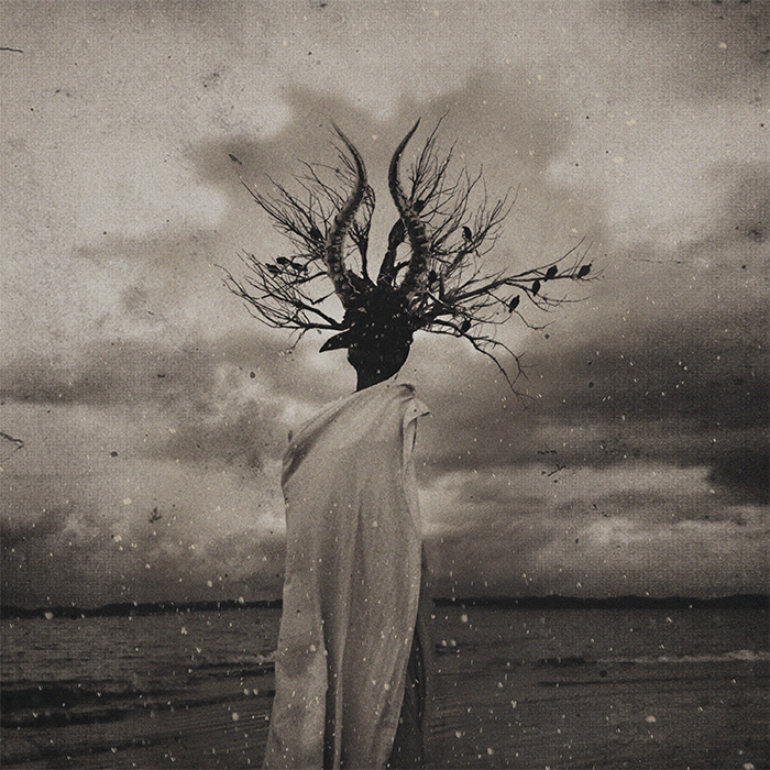 쏜애플_cover_보도자료.jpg