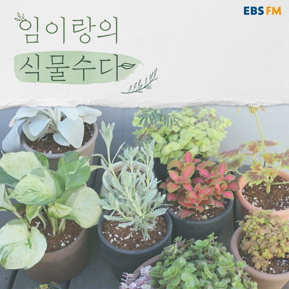 (0730) EBS FM _임이랑의 식물수다_ 공식 이미지.jpg