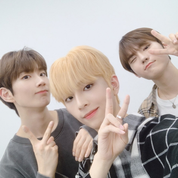 크기변환_브랜뉴즈_리얼리티.jpg