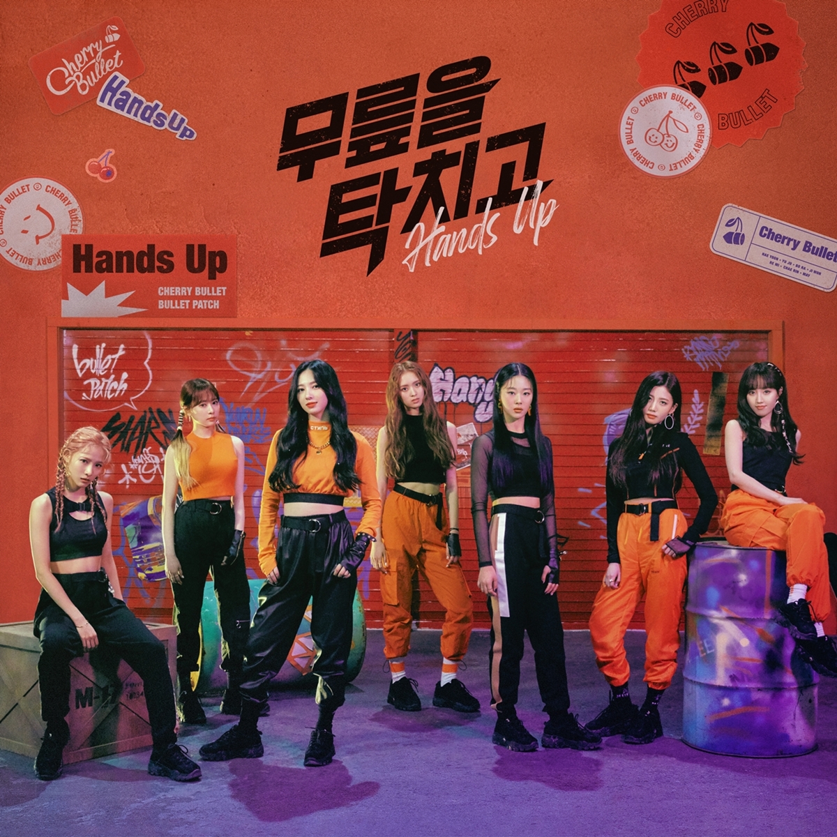 FNC_체리블렛_무릎을탁치고_커버.jpg