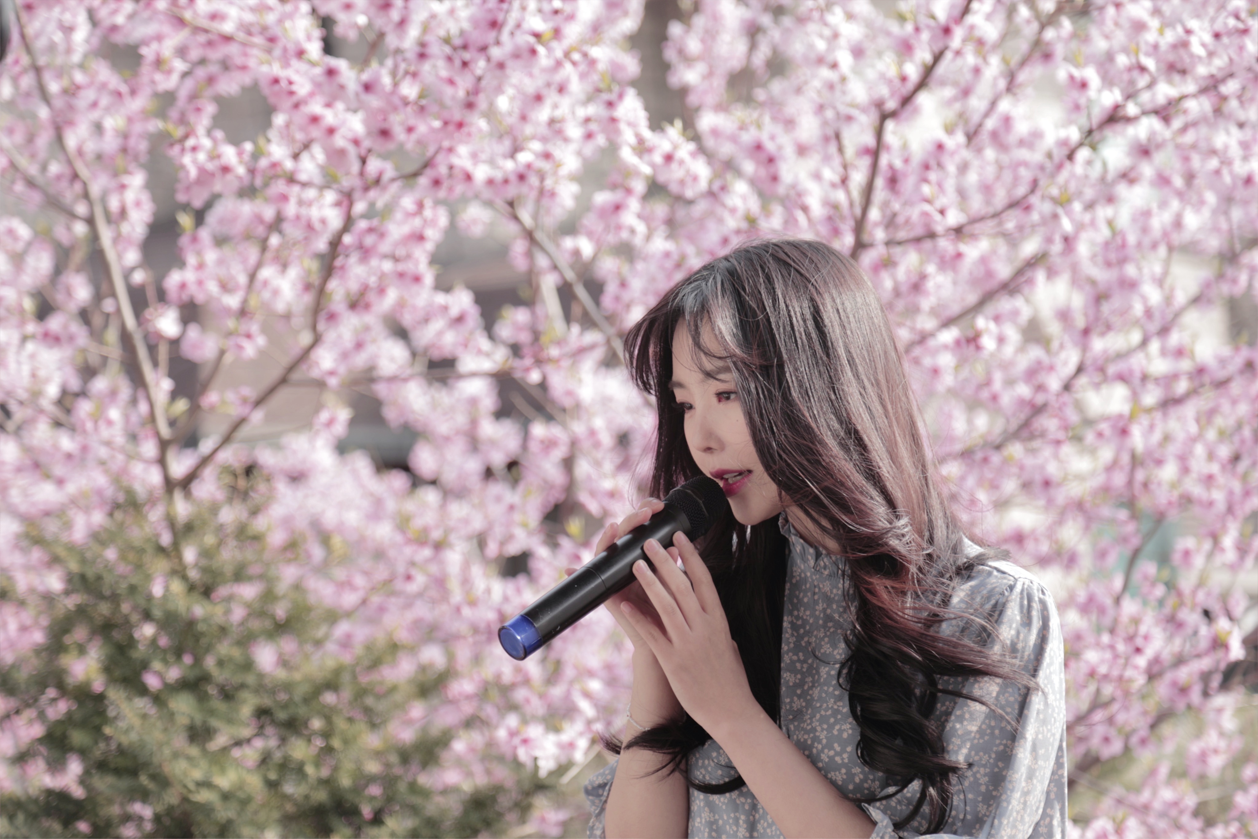 레이나1.jpg